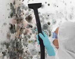 Why You Should Choose Our Mold Remediation Services in Varnell, GA